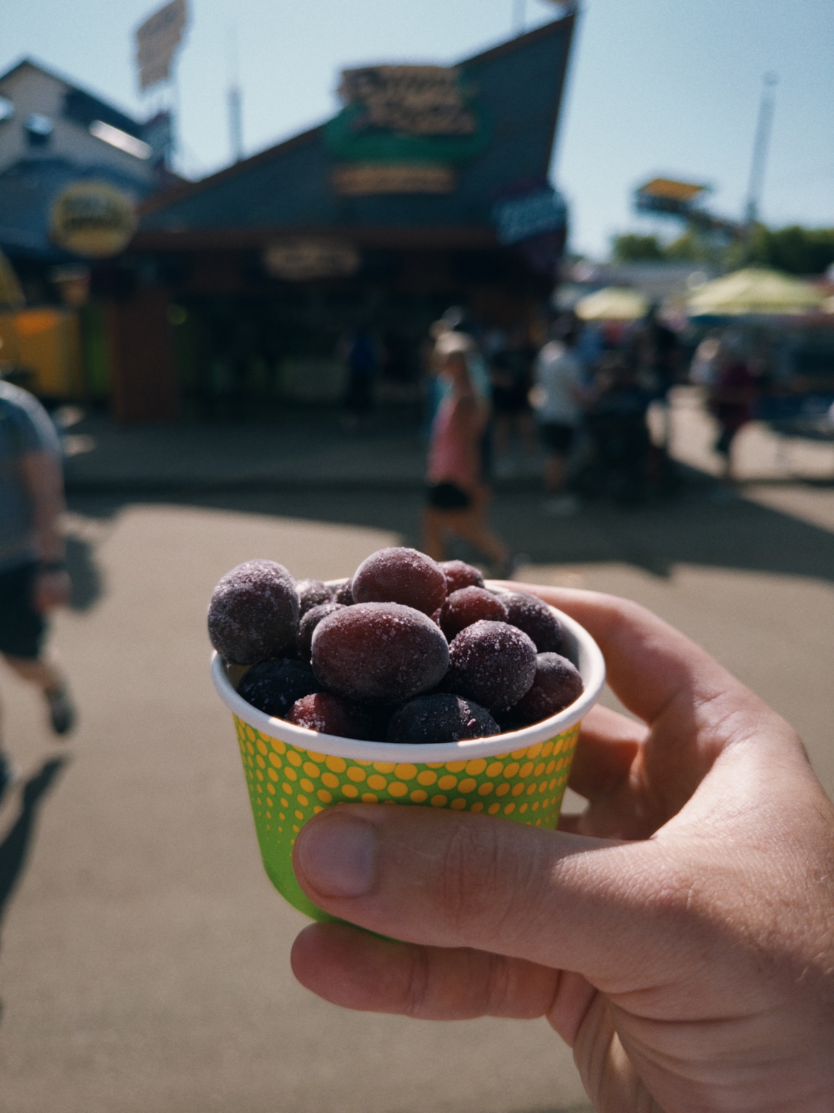 Cup with purple grapes coated in frost