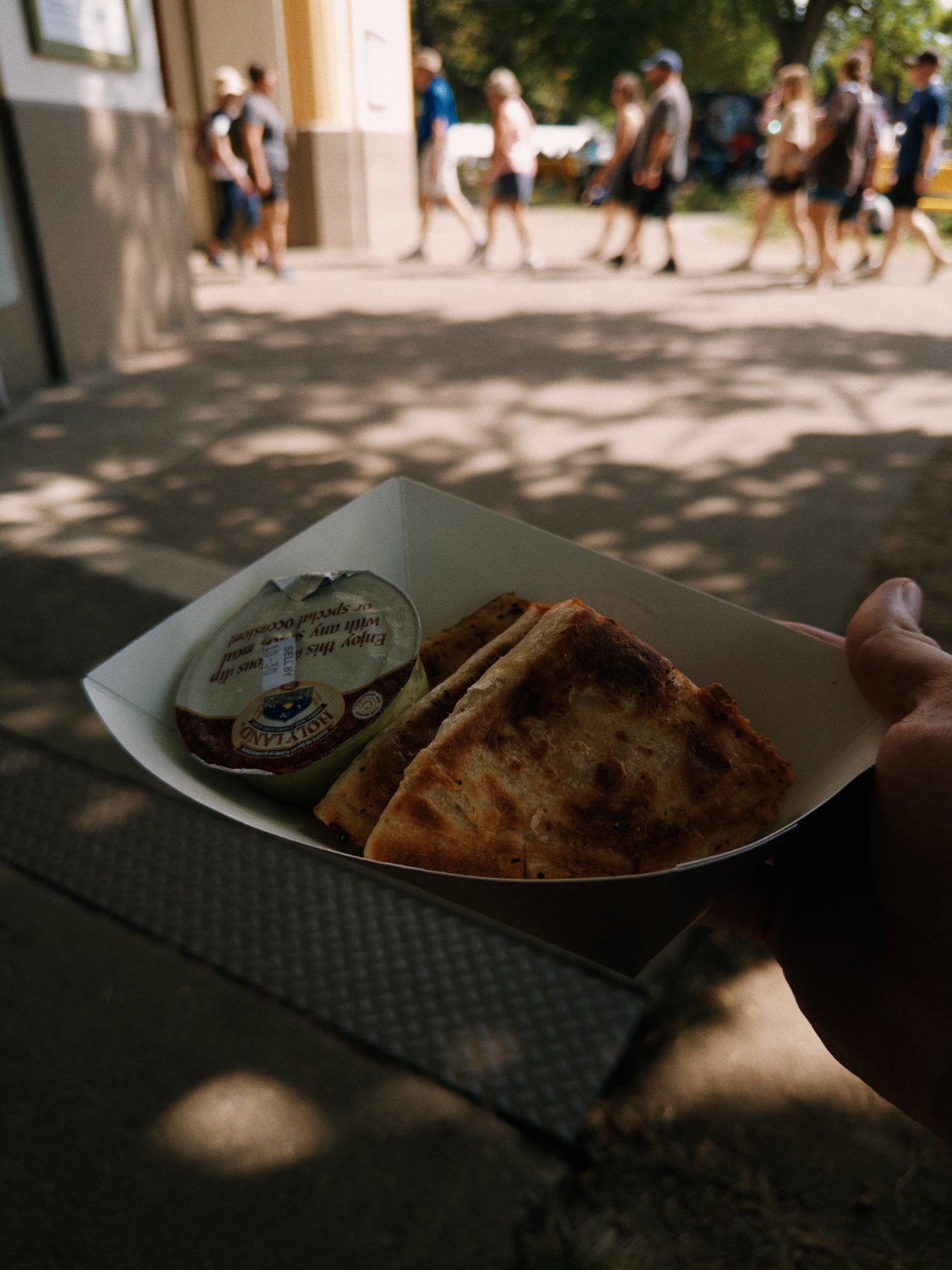 Two browned triangular stuffed flatbreads with dipping sauce